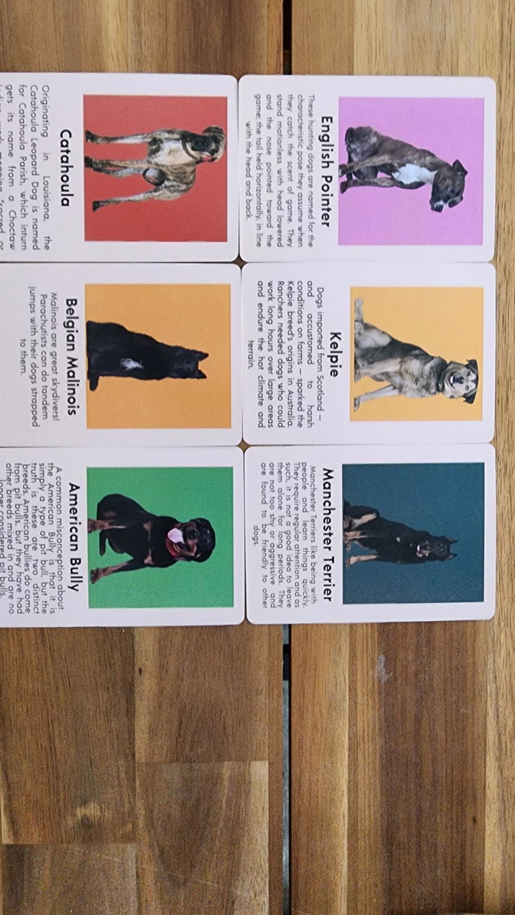 Kikkerland Play Dog Bingo Gesellschaftsspiel 54 Rassen