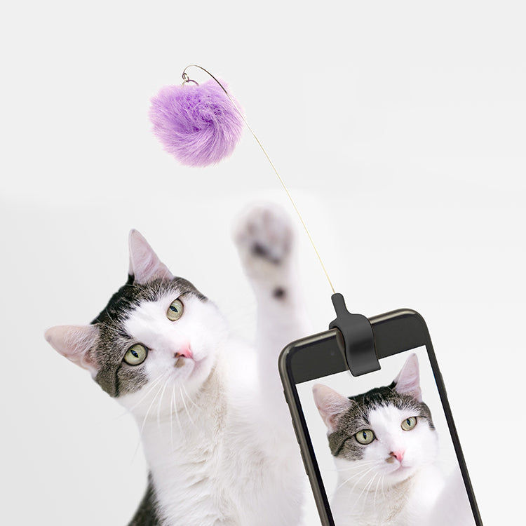 Kikkerland Tech & Stationery Kitty Phone Clip Handy-Spielzeug Katze