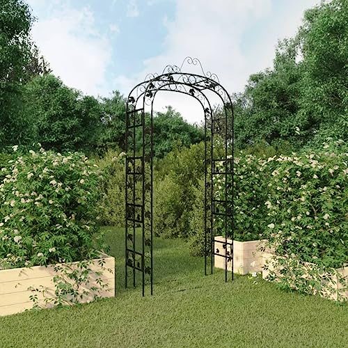 vidaXL Gartenbogen Schwarz 116x45x240 cm Stahl Rosenbogen