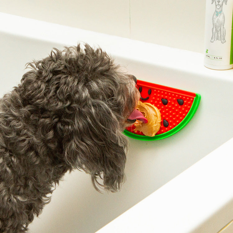 Kikkerland Home Kobe Schleckmatte Hund Wassermelone Lick Mat