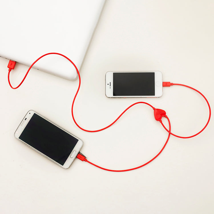 Kikkerland Cable for Two iPhone Ladekabel dual Lightning