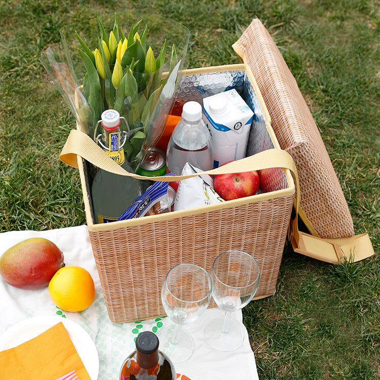 Kikkerland On-The-Go Picknick Kühlbox Sitz 22 L