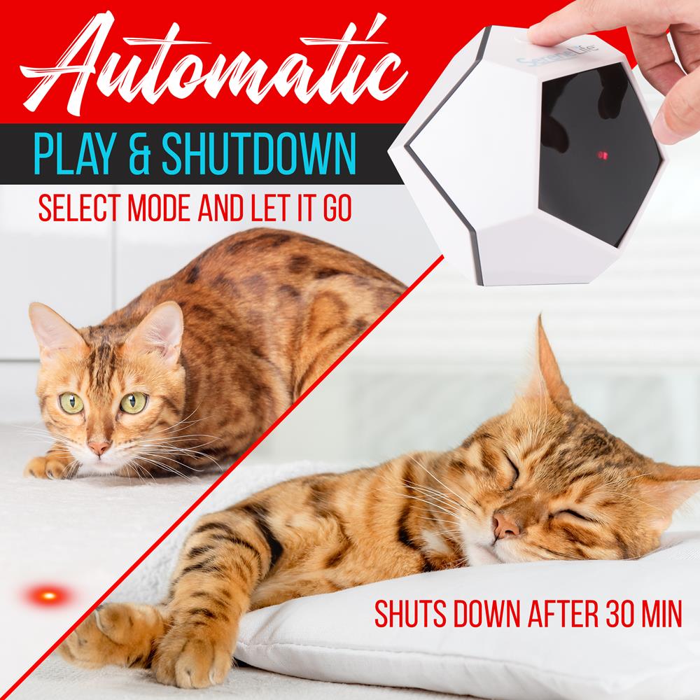 Serenelife Pet Care Katzenspielzeug Laser Automatik