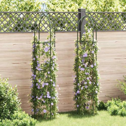 vidaXL Garten-Ranktürme 2 Stk Dunkelgrün 190 cm Eisen