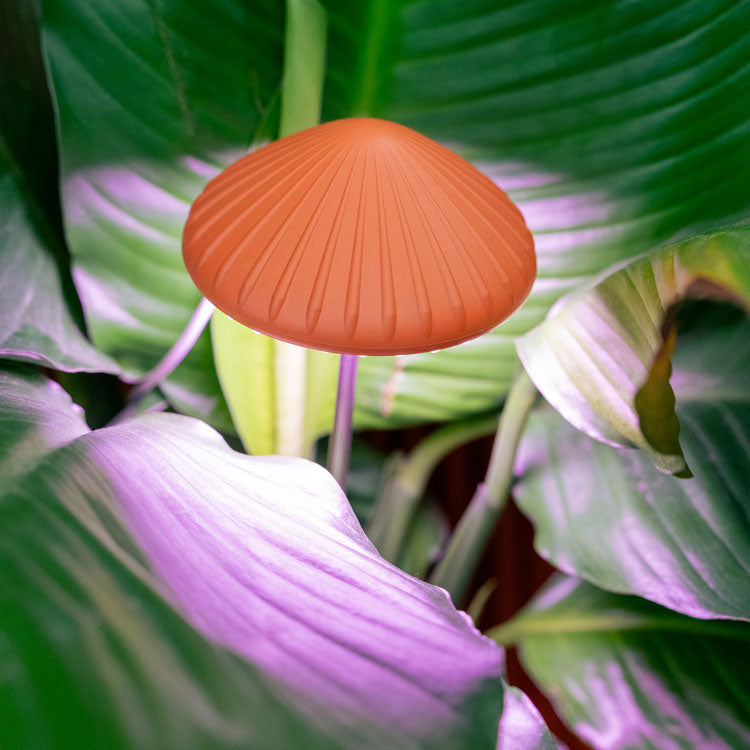 Kikkerland Home Mushroom Pflanzenlampe LED Pilz USB Timer