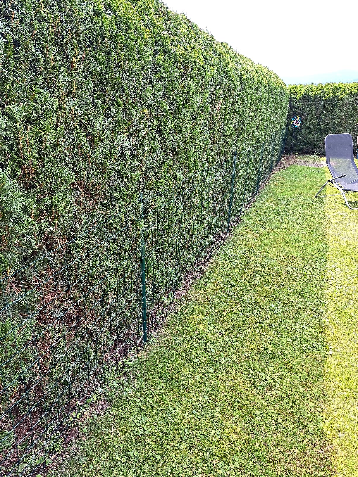 vidaXL Heim & Garten Metallzaun 20x0,8 m Grün