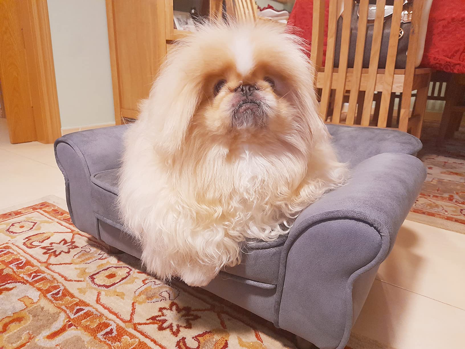 vidaXL Hundesofa Grau Plüsch 72x45x30cm Haustiersofa