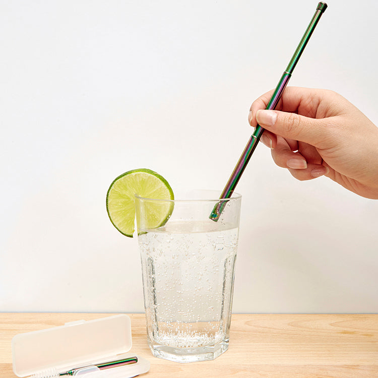 Kikkerland On-The-Go Travel Straw Set Strohhalm faltbar
