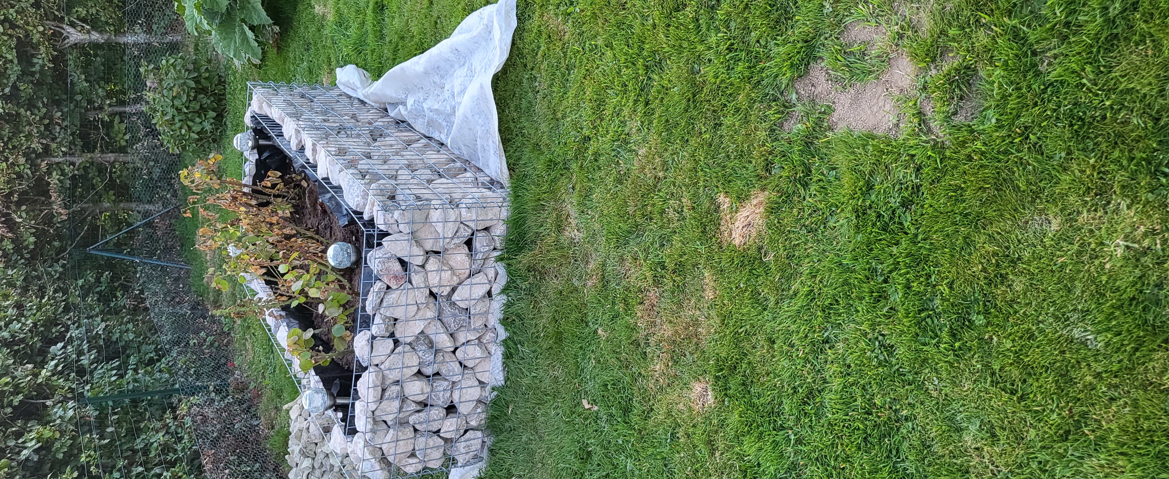 vidaXL Pflanzkübel Steinkorb 180x90x50 cm Gabione verzinkt