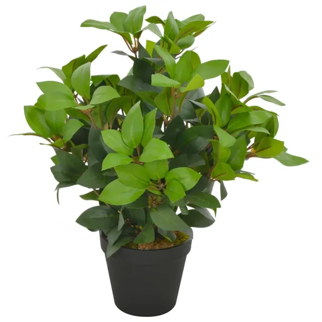 vidaXL Heim & Garten Lorbeerbaum 40cm Grün mit Topf