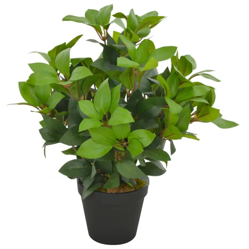 vidaXL Heim & Garten Lorbeerbaum 40cm Grün mit Topf