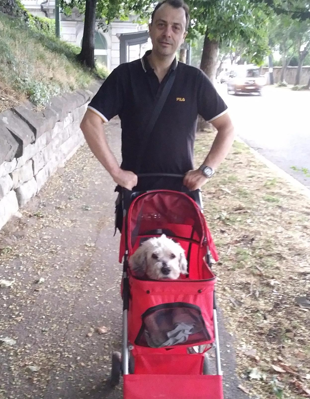 vidaXL Hundewagen Hundebuggy Buggy Rot faltbar