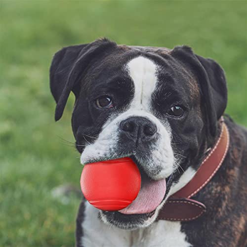 Intirilife Hunde Gummiball Knall Rot 7 cm bissfest