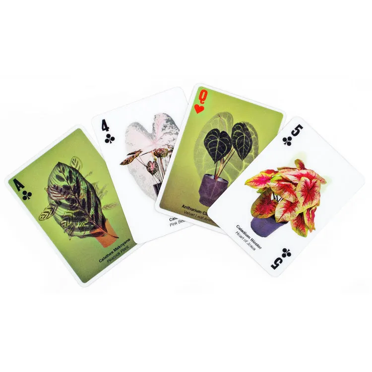 Kikkerland Home 3D Plant Cards Spielkarten Pflanzen 52er