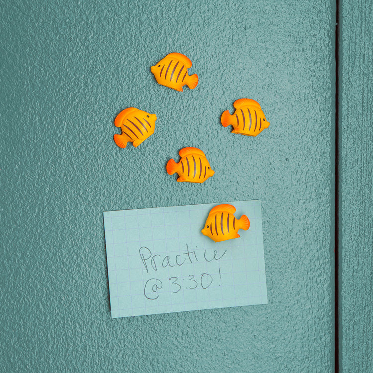 Kikkerland Home Kühlschrankmagnete Fisch 5er Set stark
