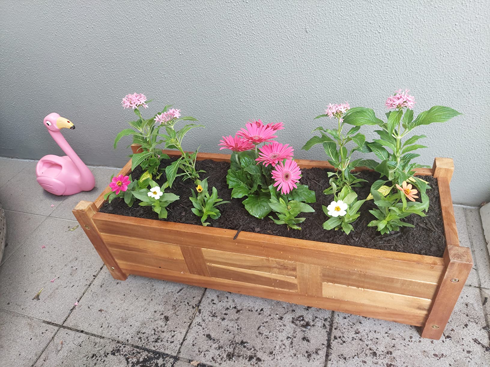 vidaXL Heim & Garten Hochbeet Akazienholz 100x30x25 cm