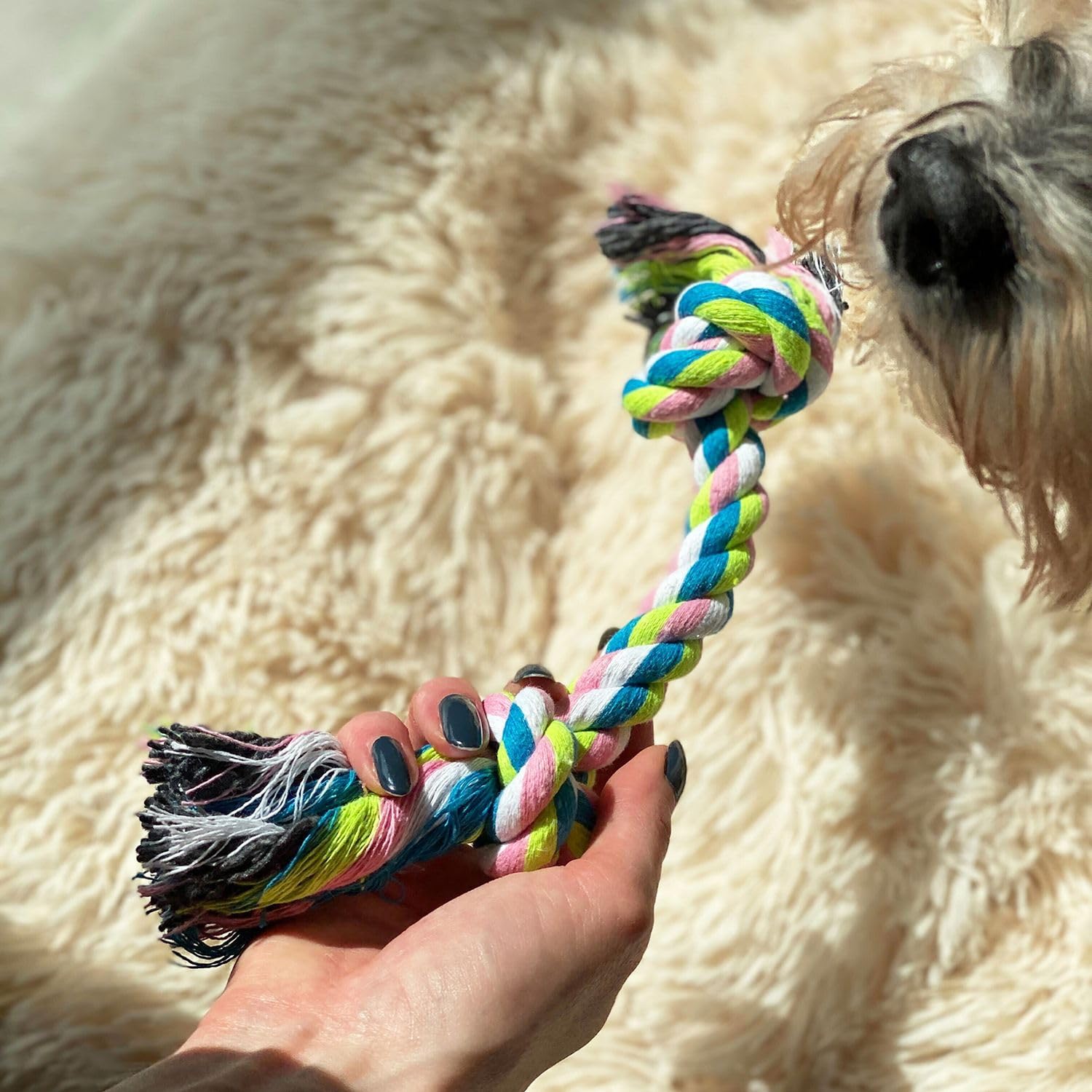 Intirilife Hundespielzeug 10er Set Kauspielzeug Baumwolle Zahnpflege