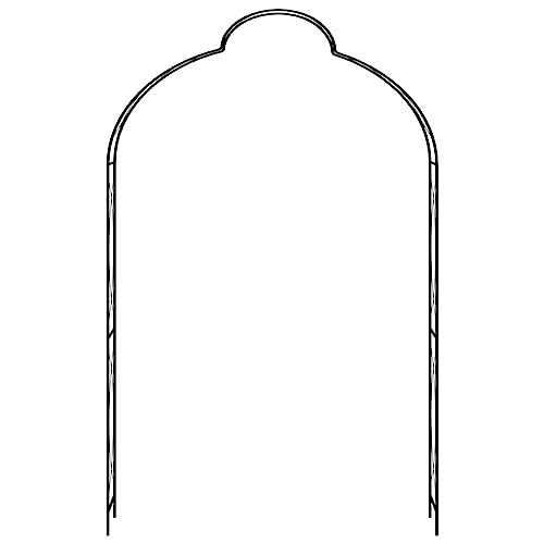 vidaXL Heim & Garten Rosenbogen Gartenbogen schwarz 150x34x240 cm Eisen