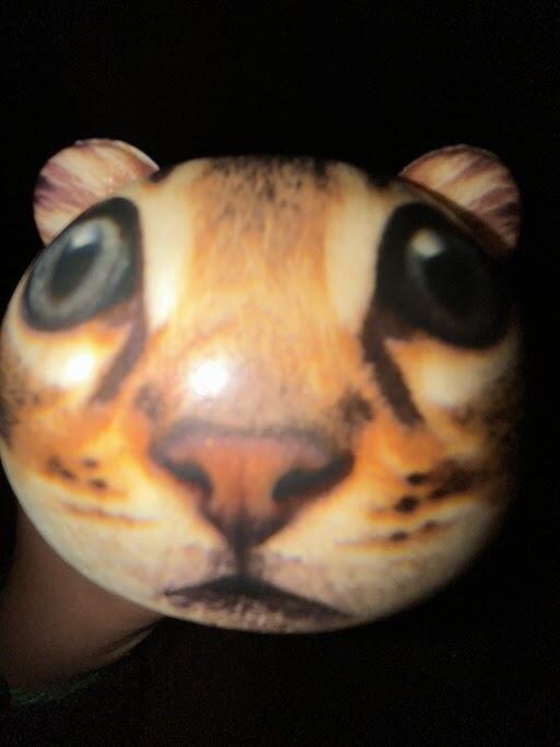 Kikkerland Home Feline Fine Stressball Katze Anti-Stress