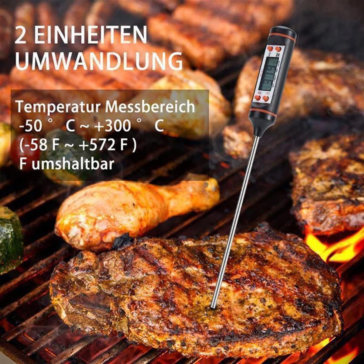 Intirilife Digitales Küchenthermometer schwarz 25 cm Edelstahl