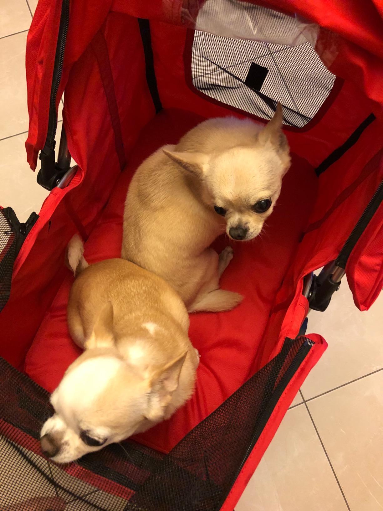 vidaXL Hundewagen Hundebuggy Buggy Rot faltbar
