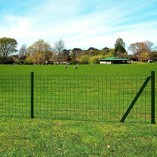 vidaXL Zaunset Gartenzaun 25x0,8 m PVC Draht mit Pfosten