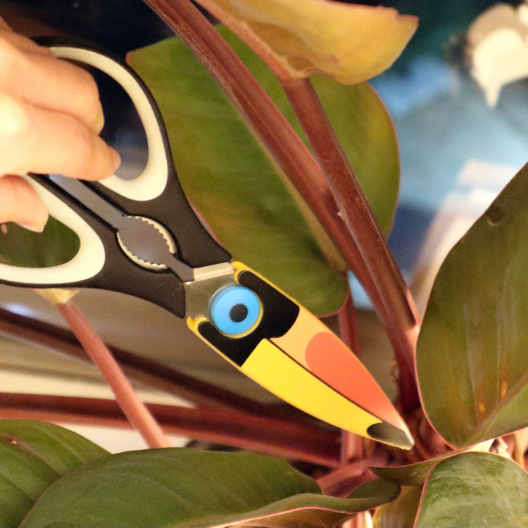 KIKKERLAND Kitchen Toucan Küchenschere Edelstahl mit Flaschenöffner