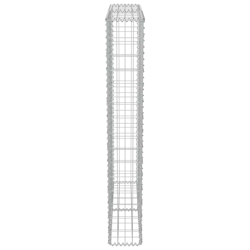 vidaXL Heim & Garten Gabionenwand Stahl 100x20x150 cm verzinkt