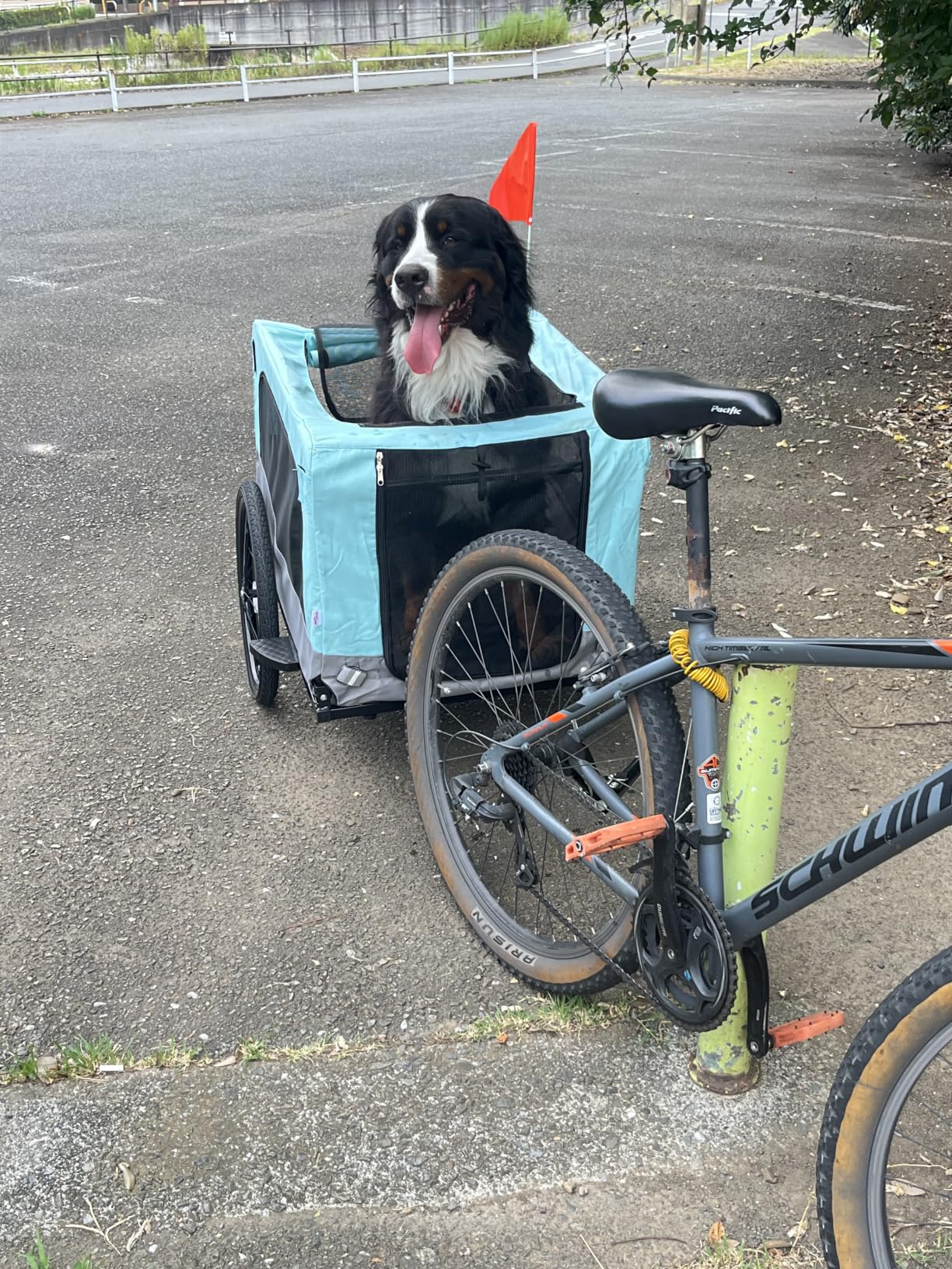 vidaXL Fahrradanhänger Hunde 2-in-1 Buggy Rot Grau