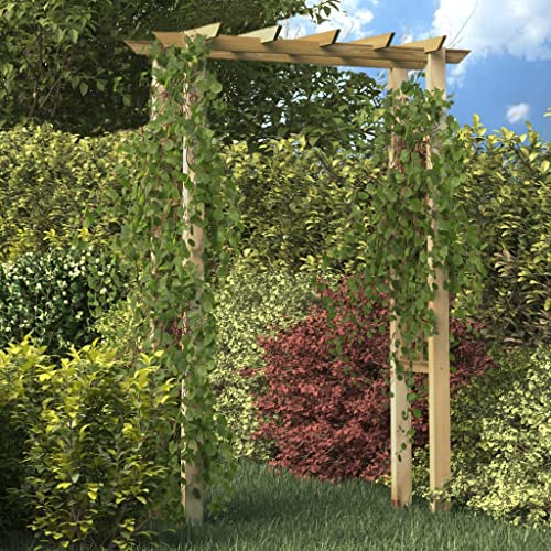 vidaXL Rosenbogen Holz 150x60x204 cm imprägniert