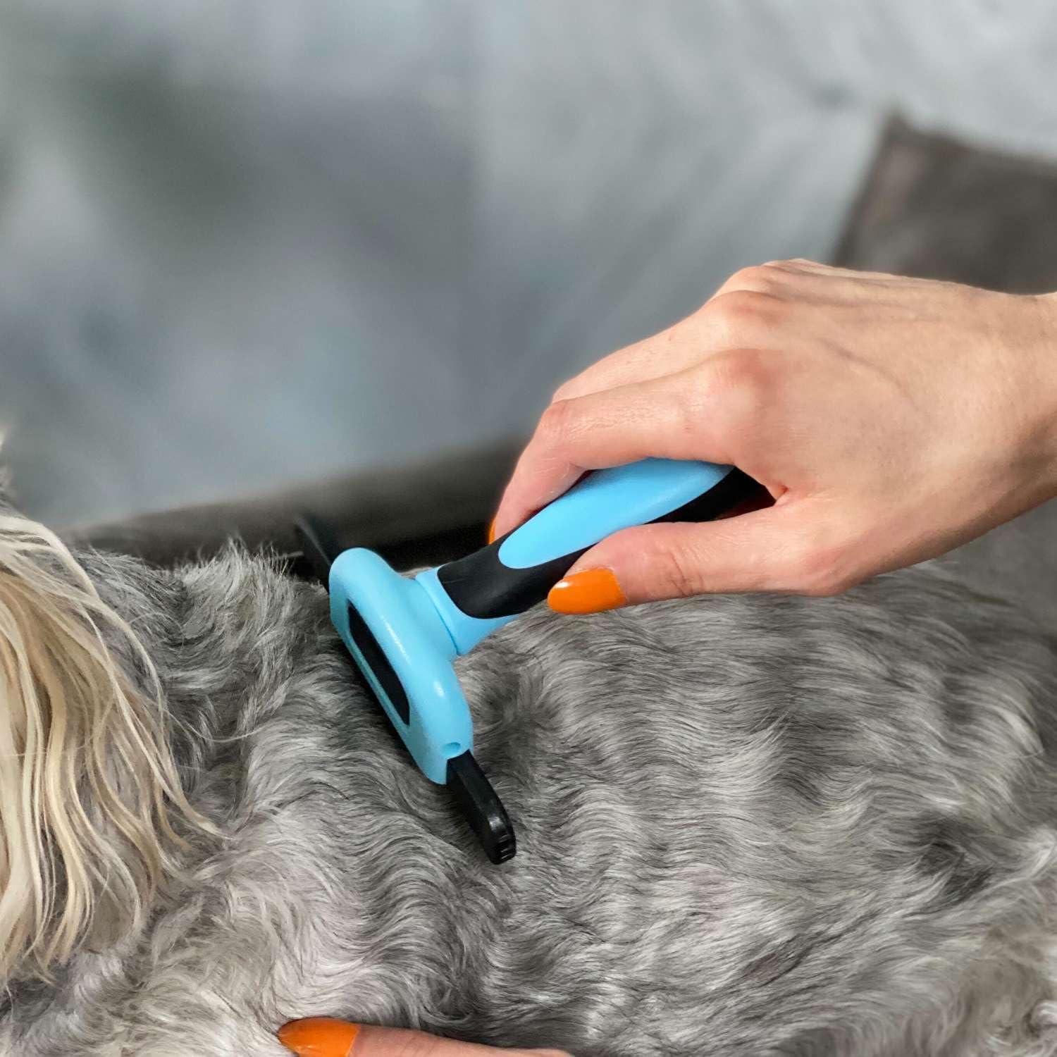 Intirilife Hundebürste Tierhaarbürste Unterfell 13,7 cm Langhaar Kurzhaar