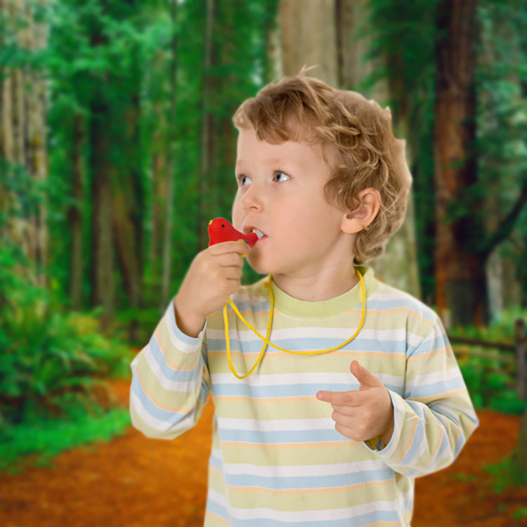 Kikkerland Home Bird Whistle Vogelpfeife Wasser Bade Spielzeug