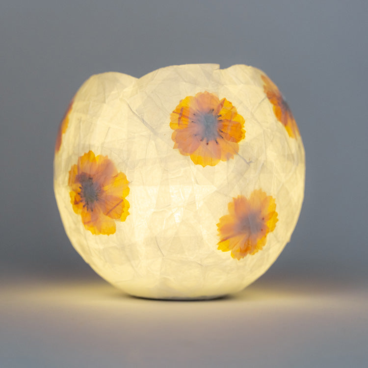 Kikkerland Crafters Flower Papierlampe Bastelset Blumen