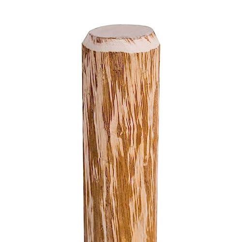 vidaXL Zaunpfosten Haselnussholz 90 cm 4er Set natur
