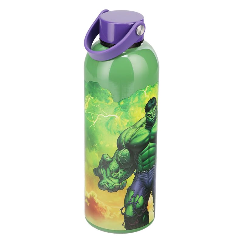 Paladone Marvel Hulk Trinkflasche Metall isoliert Geschenk