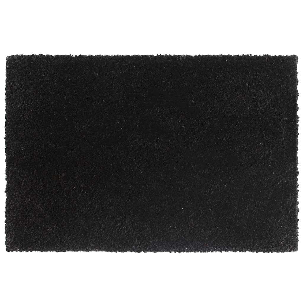 vidaXL Heim & Garten Fußmatten 2 STK Natur 40x60 Kokos
