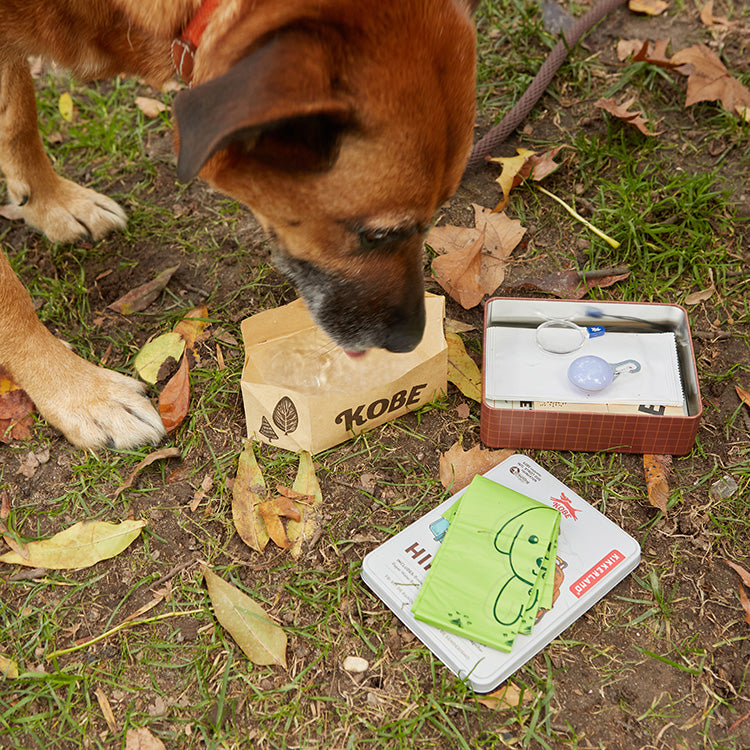 Kikkerland Kobe Hiking Kit Hunde-Wandeset in Dose