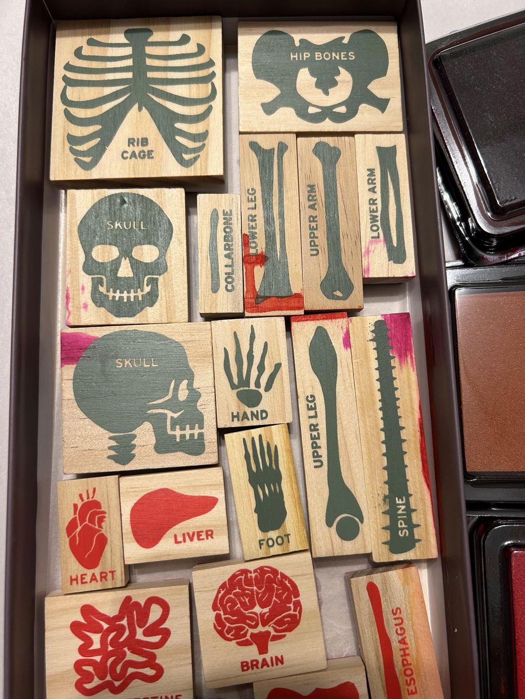 Kikkerland Home Anatomy Stempelset 21-teilig mit Stempelkissen