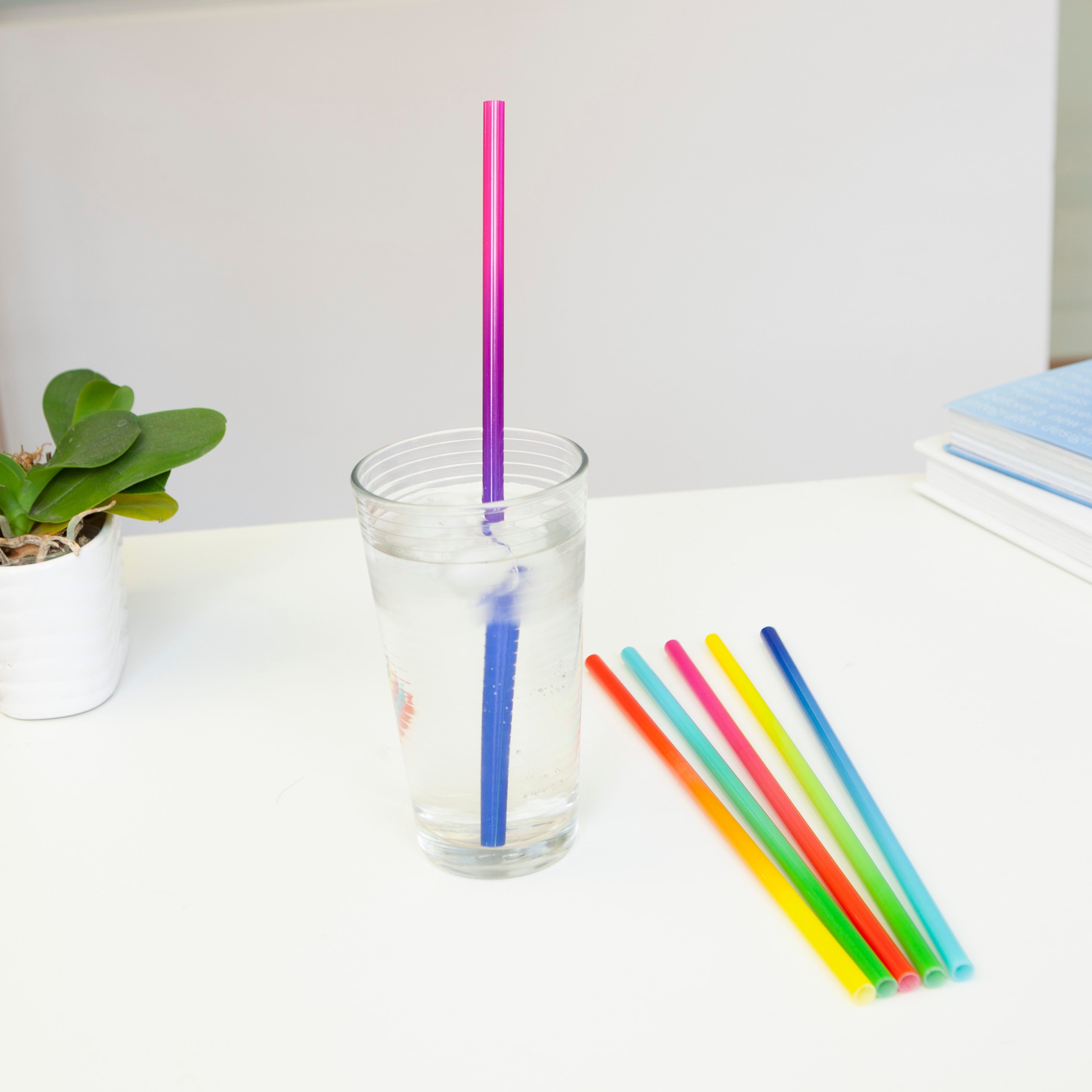 Kikkerland Home Ombré Reusable Straws Strohhalme 12er