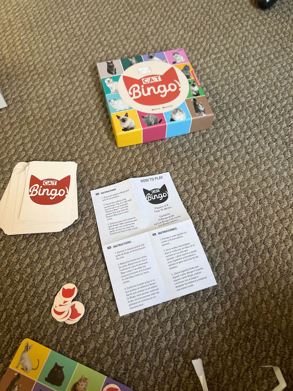 Kikkerland Play Cat Bingo Katzen Bingo Lernspiel 54 Rassen