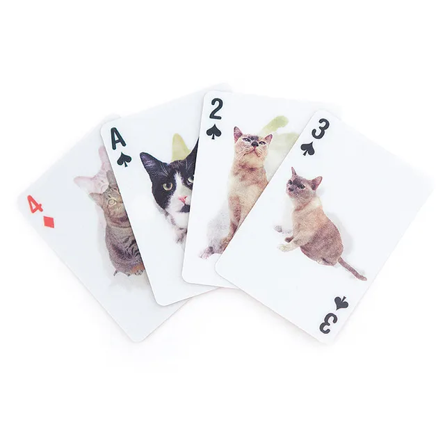 Kikkerland Play Cat 3D Spielkarten Katzen Poker