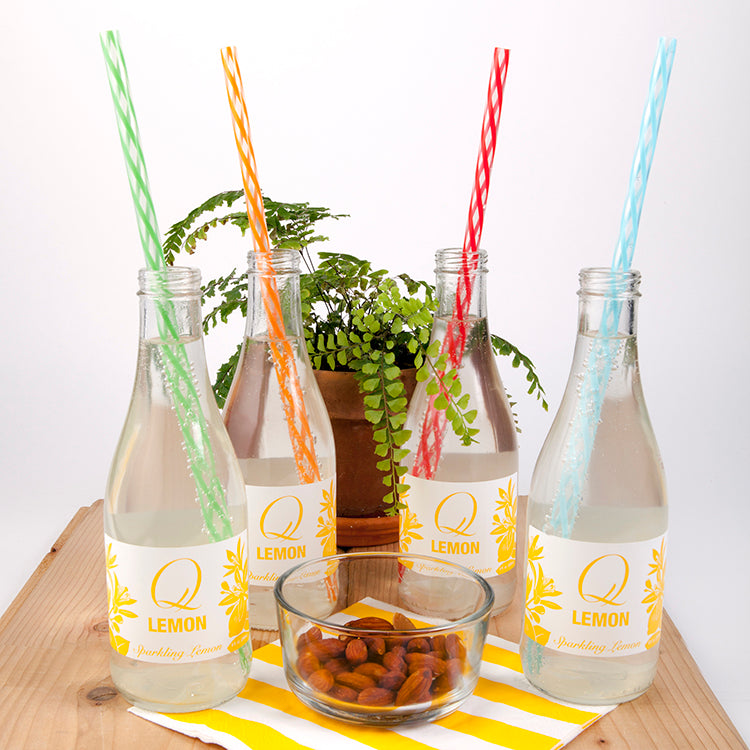 Kikkerland Home Tall Rainbow Strohhalme wiederverwendbar 24er