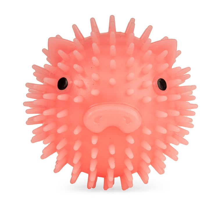 Kikkerland Home Piggy Dog Ball Hundespielzeug Bacon