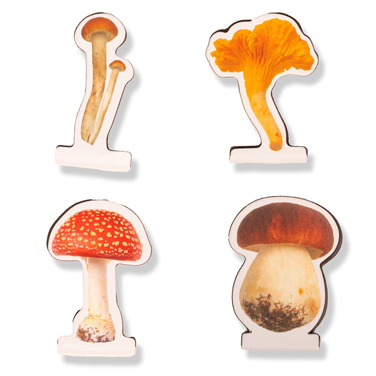 Kikkerland Home Pilz Magnetlesezeichen Set
