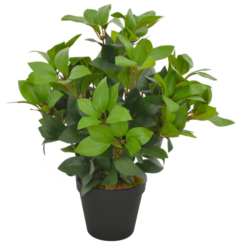vidaXL Heim & Garten Lorbeerbaum 40cm Grün mit Topf