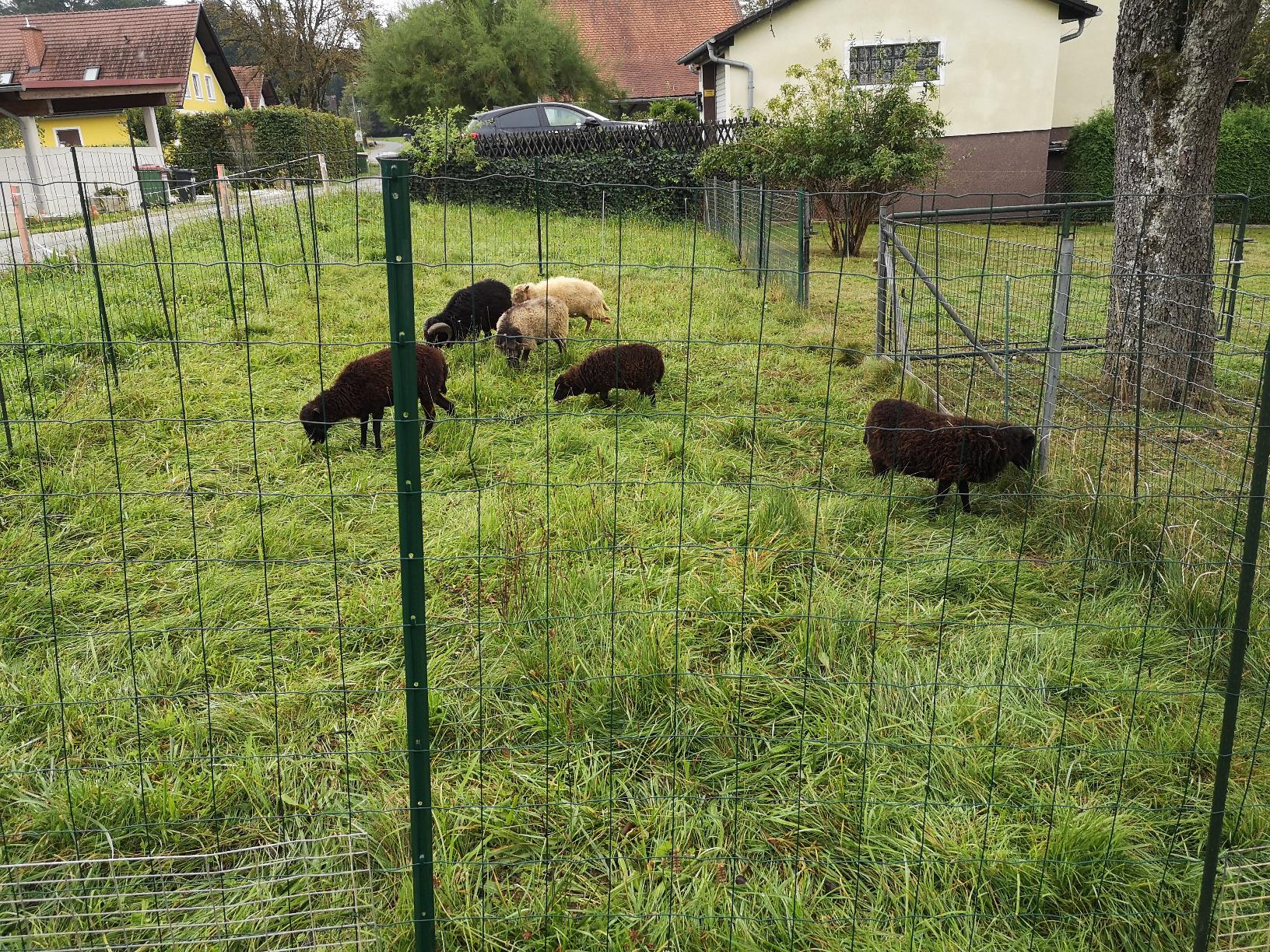 vidaXL Heim & Garten Metallzaun 20x0,8 m Grün