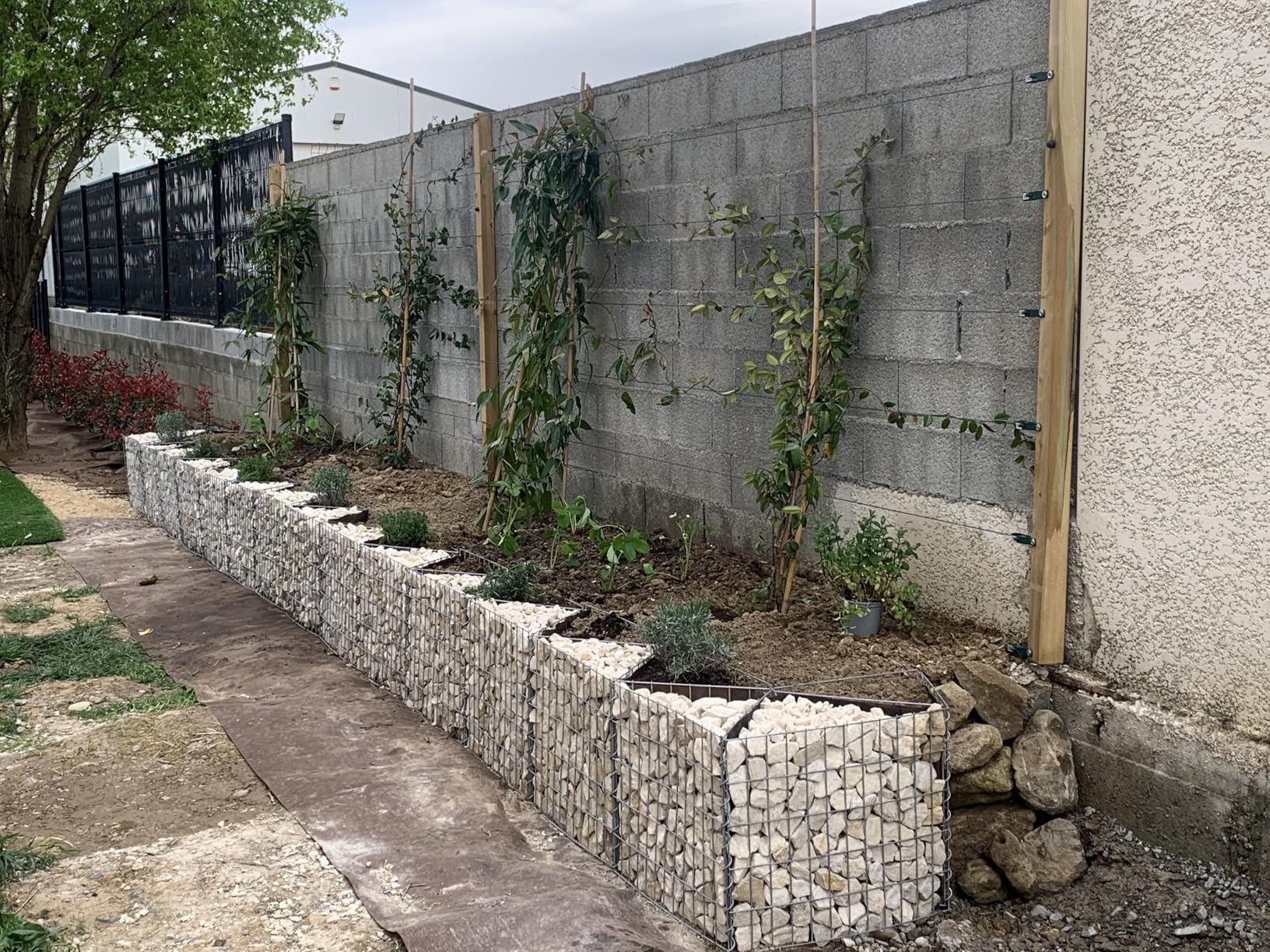 vidaXL Gabionenkorb Hochbeet Stahl 300x30x50 cm verzinkt