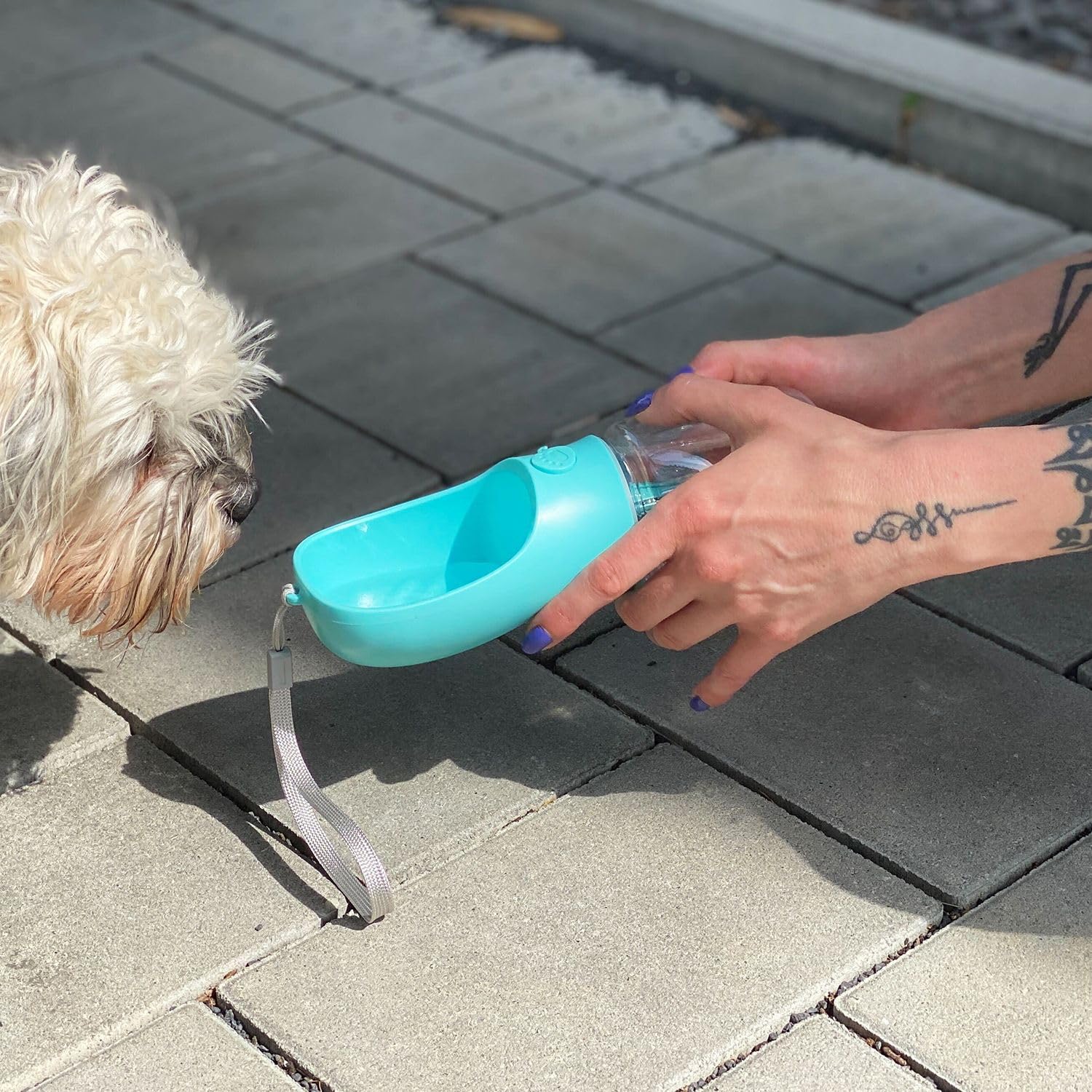 Intirilife Hunde Trinkflasche blau 300 ml auslaufsicher Kunststoff