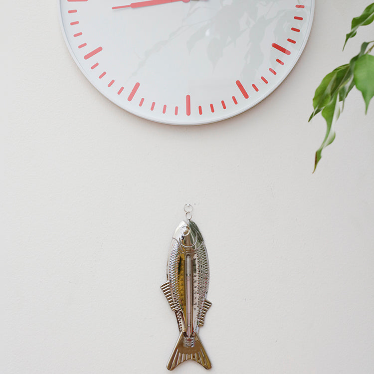 Kikkerland Fisch Thermometer Innen Außen Celsius Fahrenheit
