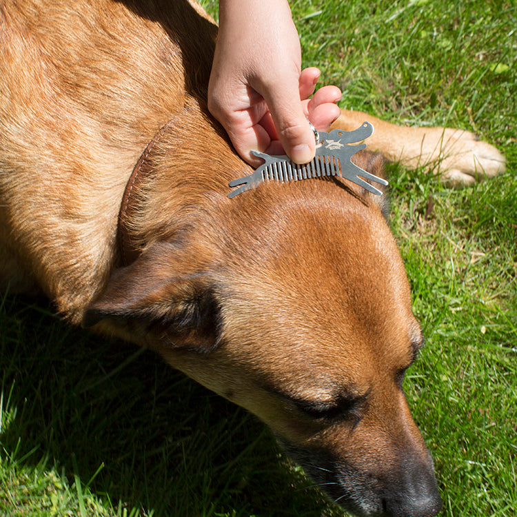Kikkerland Tools & Wellness Kobe Zeckenkamm für Hunde Aluminium